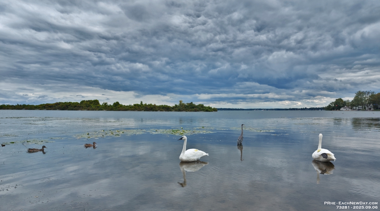 73281RoCrLe - Enjoying Centennial Park with Nick - Lynn